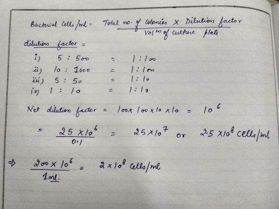 Bacterial cells snl - Total no. of colonies & Dilution factor volm of culture plate dilution factor = i 5: 500 :loo ü) 10: 10