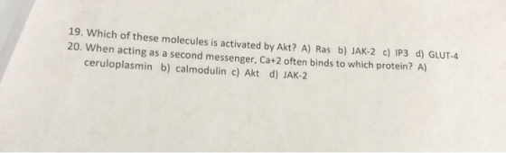 19. Which of these molecules is activated by Akt? A) Ras b) JAK-2 c) IP3 d) GLUT-4 20. When acting as a second messenger, Ca+