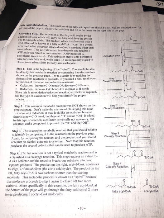 (91 fatty Acid Metabolism. The reactions of the fatty acid spiral are shown below. Use the description on the left side of th