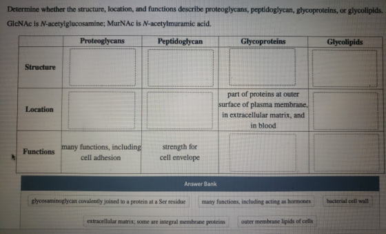 Determine whether the structure, location, and functions describe proteoglycans, peptidoglycan, glycoproteins, or glycolipids