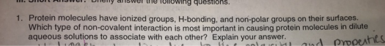 SortAuSw Dheny aSwer the TOTOWing questions. 1. Protein molecu les have ionized groups, H-bonding, and non-polar groups on th