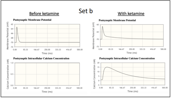 Set b With ketamine Before ketamine Postsynaptic Membrane Potential Postsynaptic Membrane Potential Membrane Potential (mv) M