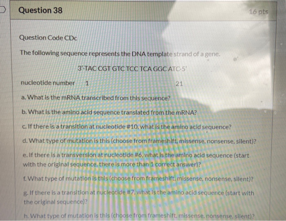Question 38 16 pts Question Code CDC The following sequence represents the DNA template strand of a gene, 3-TAC CGT GTC TCC