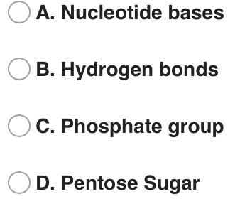 A. Nucleotide bases OB. Hydrogen bonds C. Phosphate group D. Pentose Sugar
