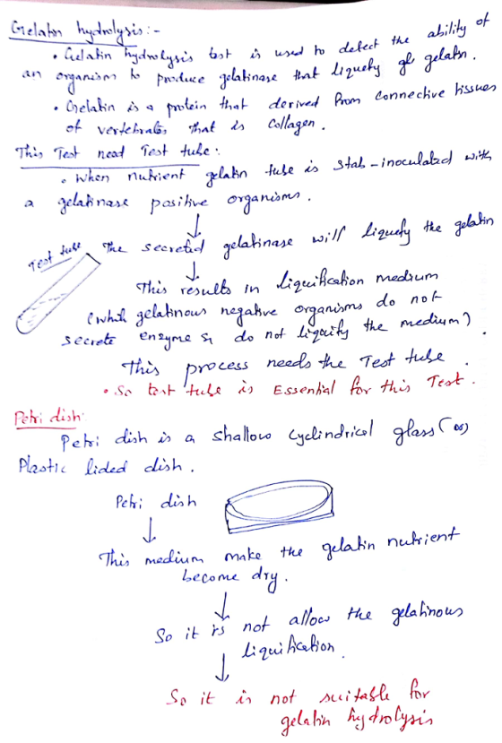 labn do noト thes process neel he Test hute ehi dish Plasthc Lided dish alinai» n nurien ecome di So it Fs nof alloos hie