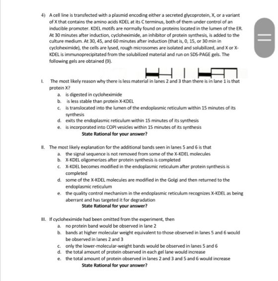 4) A cell line is transfected with a plasmid encoding either a secreted glycoprotein, X, or a variant of X that contains the