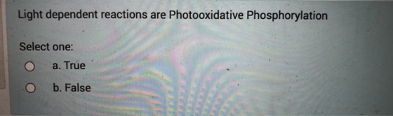 Light dependent reactions are Photooxidative Phosphorylation Select one: a. True O b. False
