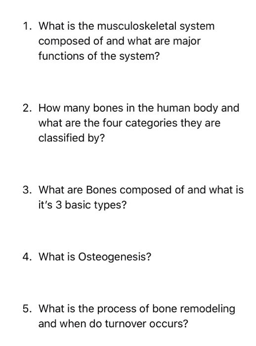 1. What is the musculoskeletal system composed of and what are major functions of the system? 2. How many bones in the human