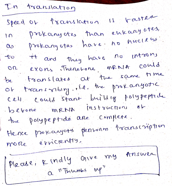 In translation . it and they have Speed or translation is raster in prokanyotes than enkaryotes, -as prokany ones have no nuc