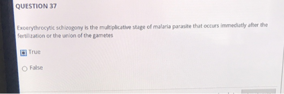 QUESTION 37 Exoerythrocytic schizogony is the multiplicative stage of malaria parasite that occurs immediatly after the ferti