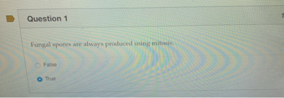 Question 1 Fungal spores are always produced using mitosis False True