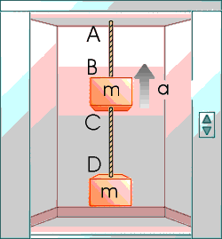 Two blocks of mass m = 10.8 kg each are fastened t