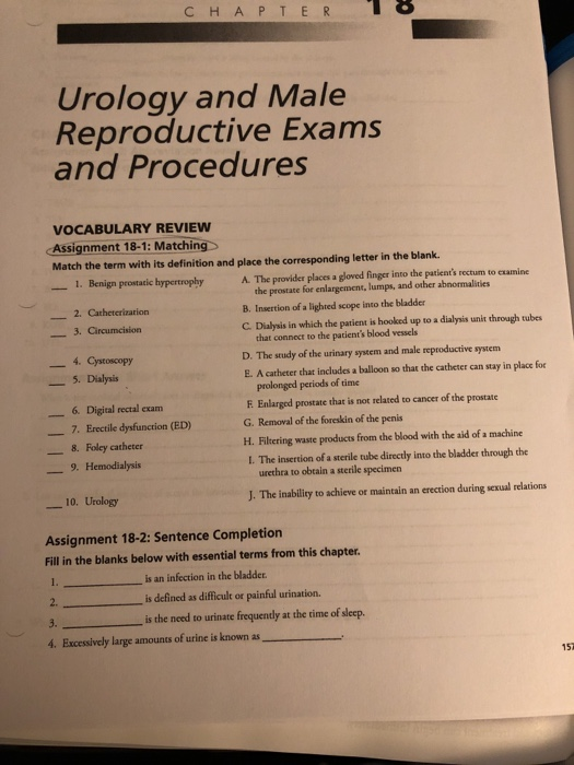 CHAPTER B 18 Urology and Male Reproductive Exams and Procedures VOCABULARY REVIEW Assignment 18-1: Matching Match the term wi