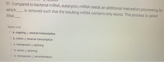 37. Compared to bacterial mRNA, eukaryotic mRNA needs an additional maturation processing by which ___ is removed such that t