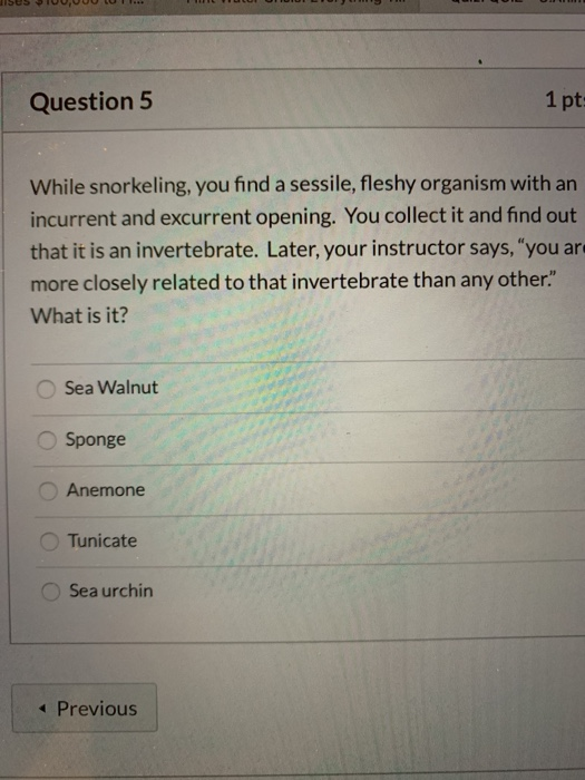Question 5 1pt While snorkeling, you find a sessile, fleshy organism with an incurrent and excurrent opening. You collect it