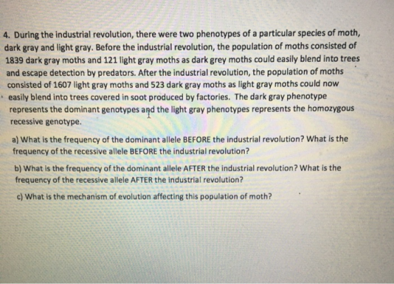 4. During the industrial revolution, there were two phenotypes of a particular species of moth, dark gray and light gray. Bef