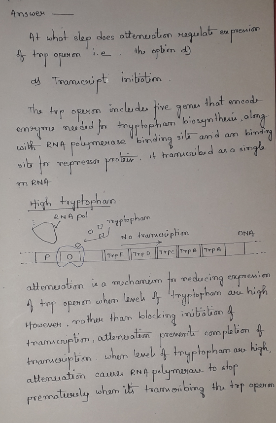Answer At what slep does attenuation regulate expresion of top operon ie the option d) Transcript in initiatim top operon inc