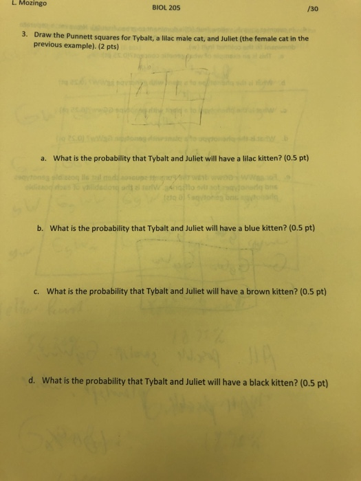 L. Mozingo BIOL 205 /30 3. Draw the Punnett squares for Tybalt, a lilac male cat, and Juliet (the female cat in the previous