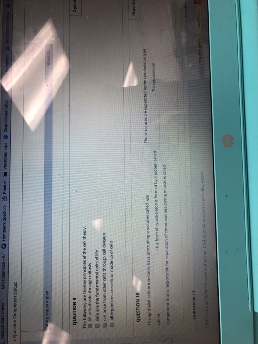 QUESTION 10 for and