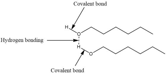 Covalent bond Hydrogen bonding Covalent bond