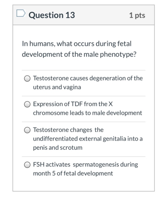 Question 13 1 pts In humans, what occurs during fetal development of the male phenotype? Testosterone causes degeneration of