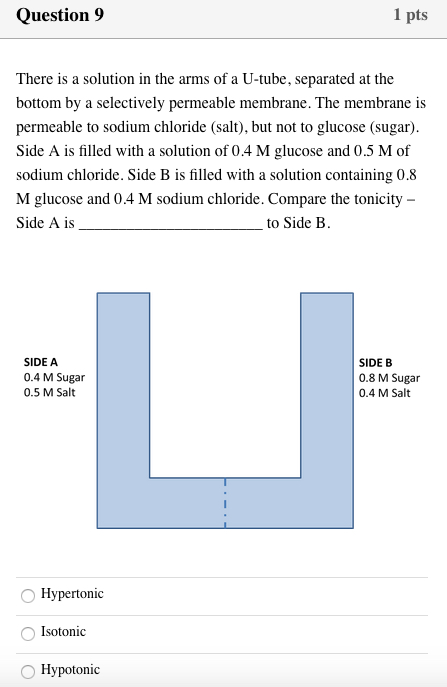 Question 9 1 pts There is a solution in the arms of a U-tube, separated at the bottom by a selectively permeable membrane. Th
