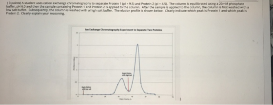 (3 points) A Student uses cation exchange chromatography to separate Protein 1 pi9.5) and Protein 2 pl 45). The column is equ