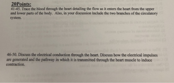 20Points: 41-45. Trace the blood through the heart detailing the flow as it enters the heart from the upper and lower parts of the body. Also, in your discussion include the two branches of the circulatory system 46-50. Discuss the electrical conduction through the heart. Discuss how the electrical impulses are generated and the pathway in which it is transmitted through the heart muscle to induce contraction.