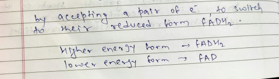by to accepting a pair of theis reduced form é: to switch FADH.. - Higher lower energy enessy form form a FADHA FAD