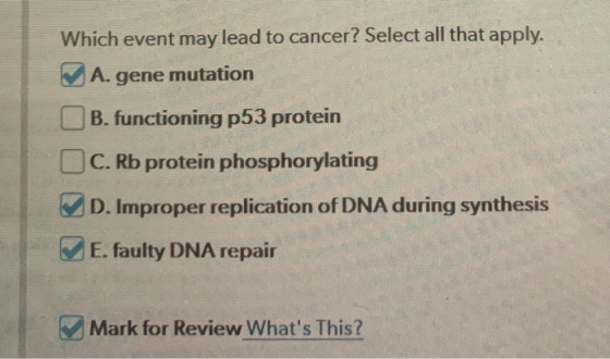 Which event may lead to cancer? Select all that apply. A. gene mutation B. functioning p53 protein C.Rb protein phosphorylati