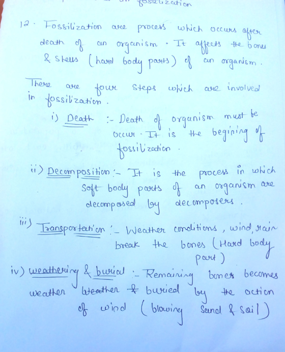 ution 2 ossiizastion a procexs which occuns ole dleath These リDeath :-Death d), organis occu orgenism m ust be is the beginin is the process In och Soft bool poss elecomp os ed iri) angpor tehm , wInd, tcun break the bones Had bo cuut ) weatheway г.busucJ ,_ Rem cu Mrel bon e becommes uecutt on vbteedhen .옷 buyu eal by the action uoind loeig Sanalail Seu