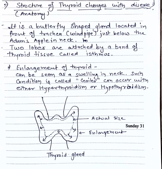 Anatomy l is a butlerfuy Shaped gland located in font 헝 trache,Cuoind pipe.) just below the Adams Applein nec Two lober are