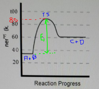 TS t00 85 80 ner (k F 60 C+D 40 A+B 20 Reaction Progress