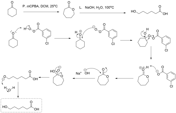 С-o P. TCPBA, DCM, 25°С L. NaOH, H2O, 100°C НО. ОН H Н. дгай СІ CI СІ + НО Na* ОН . , ОН Н. CI нон сон : НО. ОН