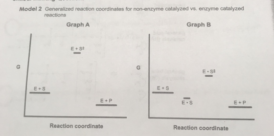 Model 2 Generalized reaction coordinates for non-enzyme catalyzed vs. enzyme catalyzed reactions Graph A Graph B E. St Eust E