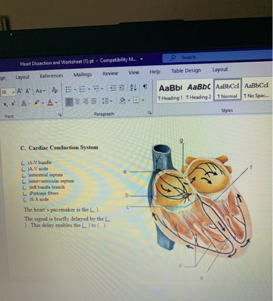 Search Heart Dissection and Worksheet (1) pt . Compatibility M... View Mailings Review Help Table Design Layout gn Layout Ref