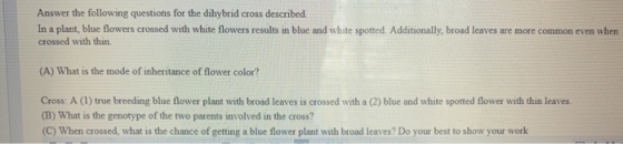 Answer the following questions for the dihybrid cross described. In a plant blue flowers crossed with white flowers results i