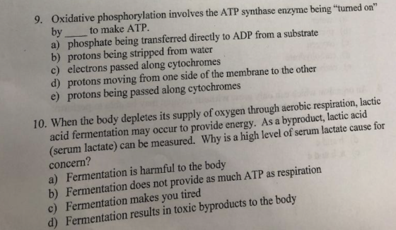 9. Oxidative phosphorylation involves the ATP synthase enzyme being turned on by to make ATP a) phosphate being transferred