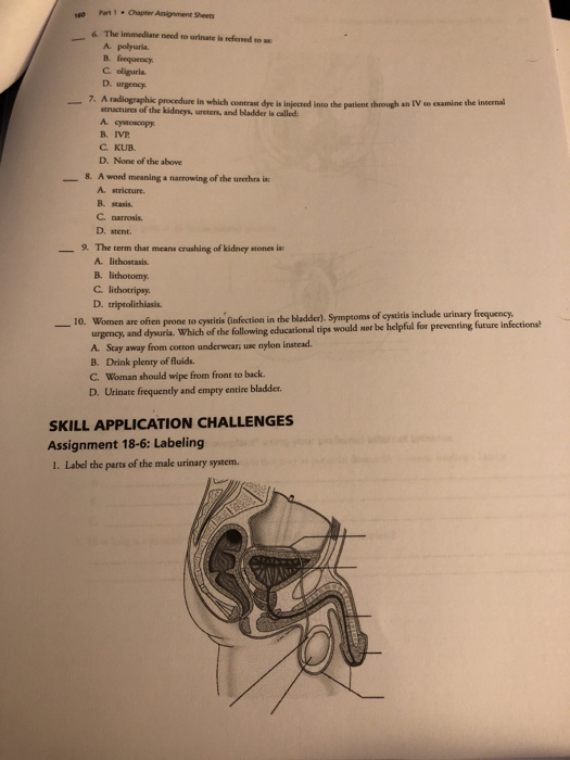 Part . O ptor Assignment Sheets 6. The immediate need to write is formed to A polyuria B. frequency C oliguria D. urgency 7.