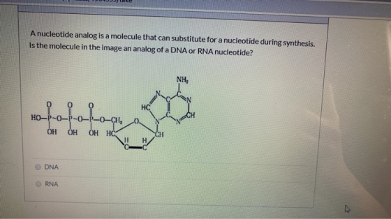 A nucleotide analog is a molecule that can substitute for a nucleotide during synthesis. Is the molecule in the image an anal