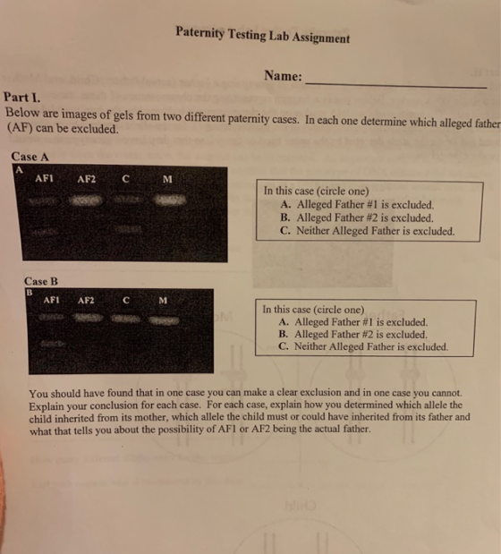 Paternity Testing Lab Assignment Name: Part I (AF) can be excluded. Case A Below are images of gels from two different paternity cases. In each one determine which alleged father AFI AF2 C In this case (circle one) A. Alleged Father #1 is excluded B. Alleged Father #2 is excluded. C. Neither Alleged Father is excluded. Case B AFI AF2 In this case (circle one) A. Alleged Father #1 is excluded. B. Alleged Father #2 is excluded. C. Neither Alleged Father is excluded. You should have found that in one case you can make a clear exclusion and in one case you cannot. Explain your conclusion for each case. For each case, explain how you determined which allele the child inherited from its mother, which allele the child must or could have inherited from its father and what that tells you about the possibility of AFI or AF2 being the actual father.