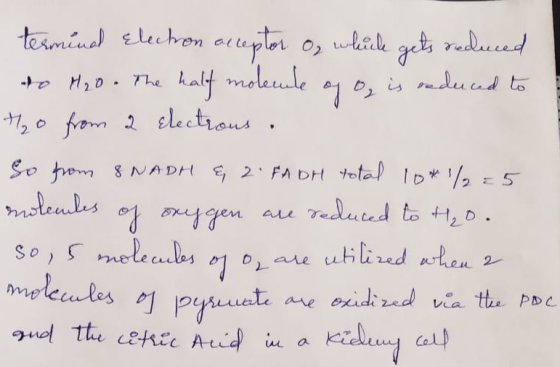 termind Electron acceptor o, which gets reduced to H₂0 - The half molecule of o, is reduced to 1₂0 from 2 electrons. So from