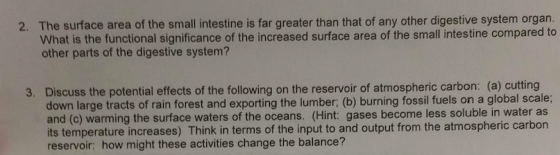 2. The surface area of the small intestine is far greater than that of any other digestive system organ. What is the function