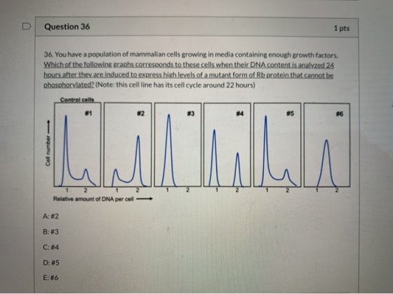 Question 36 1 pts 36. You have a population of mammalian cells growing in media containing enough growth factors. Which of th