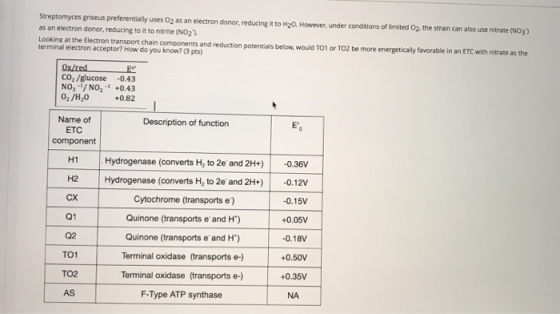Streptomyces griseus preferentially uses O2 as an electron donor, reducing it to H20. However, under conditions of limited O2