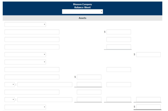 Blossom Company Balance Sheet Assets