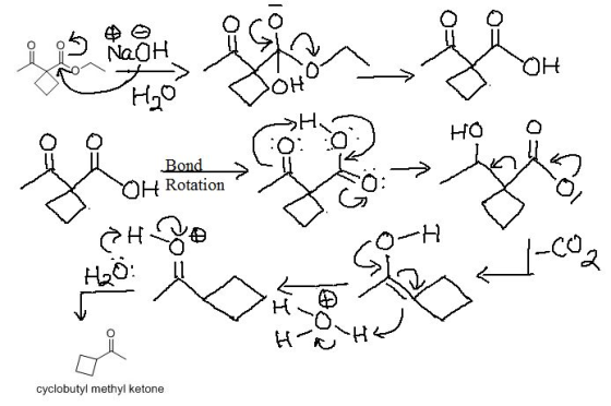 HO C Bond > OH Rotatiorn cyclobutyl methyl ketone