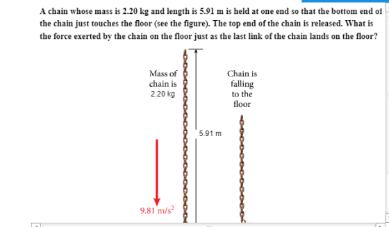 A chain whose mass is 2.20 kg and length is 5.91 m is held at one end so that the bottom end of the chain just touches the floor (see the figure). The top end of the chain is released. What is the force exerted by the chain on the floor just as the last link of the chain lands on the floor? Mass of chain is 2.20 kg Chain is falling to the floor 5.91 m 9.81 m/s