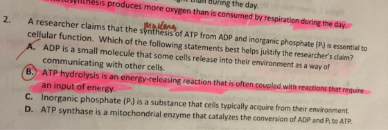 Mit lilall during the day. Usylithesis produces more oxygen than is consumed by respiration during the day. 2. A researcher c