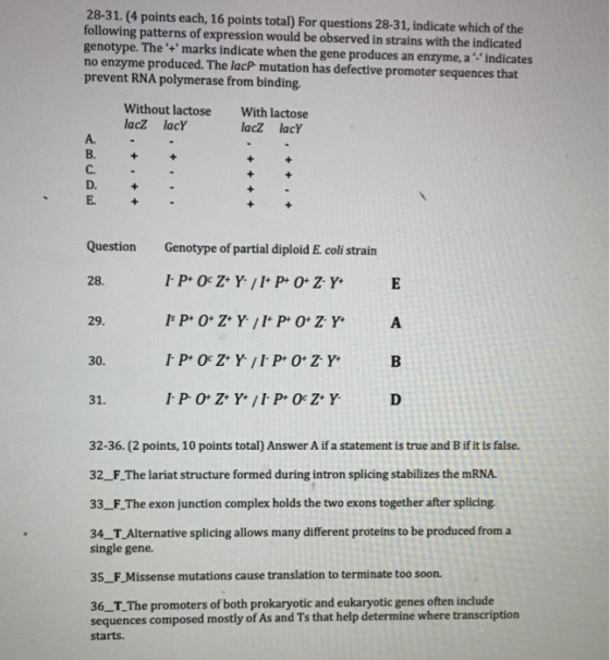 28-31. (4 points each, 16 points total) For questions 28-31, indicate which of the following patterns of expression would be